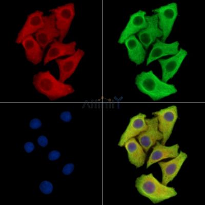 Валидация Affinity DF15982 - 12512