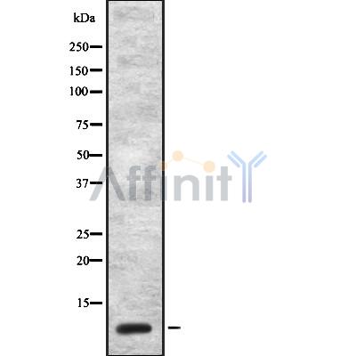 Валидация Affinity DF8515 - 20378