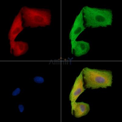 Валидация Affinity DF15833 - 12340