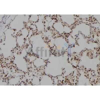 Валидация Affinity DF6002 - 17221