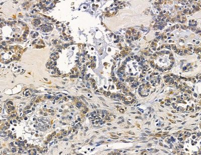 Валидация Affinity DF14023 - 9785