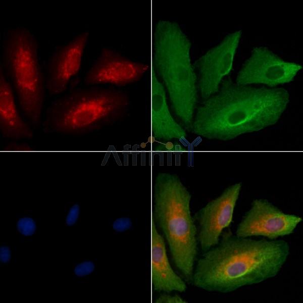 Валидация Affinity DF8920 - 21056