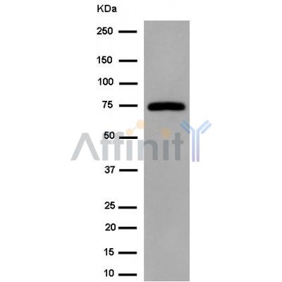 Валидация Affinity AF6427 - 3735