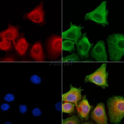 Валидация Affinity DF8528 - 20404