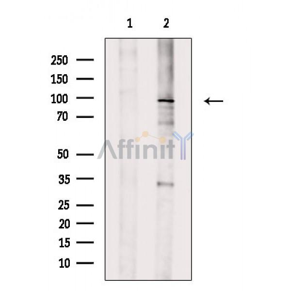 Валидация Affinity DF8749 - 20762