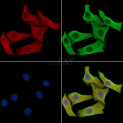 Валидация Affinity DF15915 - 12430