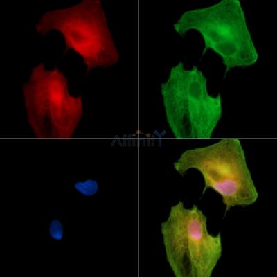 Валидация Affinity DF15314 - 11618