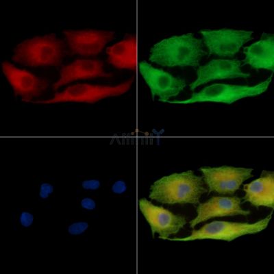 Валидация Affinity DF14008 - 9769