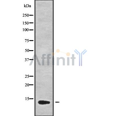 Валидация Affinity DF9567 - 22242