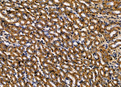 Валидация Affinity DF8996 - 21203