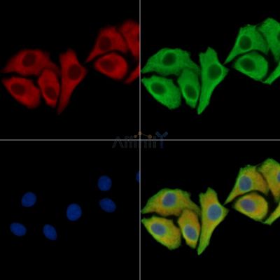 Валидация Affinity DF15764 - 12242