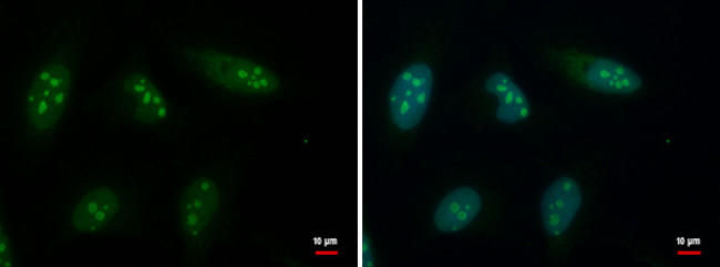 Валидация AssayVector ARM2235(3760)