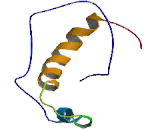 G Protein Coupled Receptor 183 (GPR183) G Protein Coupled Receptor 183 (GPR183)