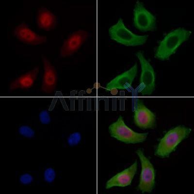 Валидация Affinity AF6074 - 3280