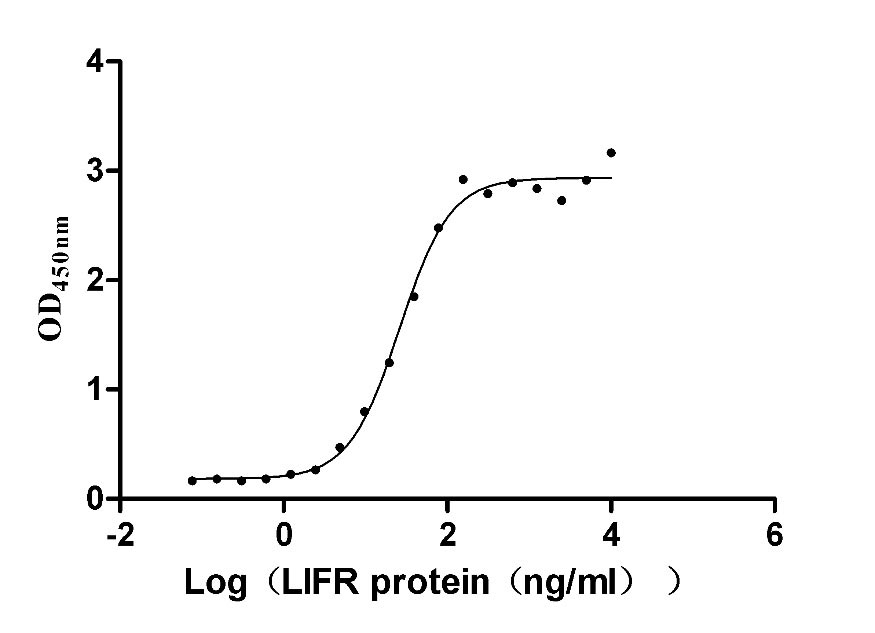 Функциональный ИФА: связывание человеческого LIF с рецептором LIFR