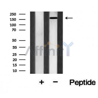 Валидация Affinity AF8524 - 4712