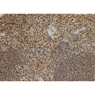 Валидация Affinity DF7265 - 18931