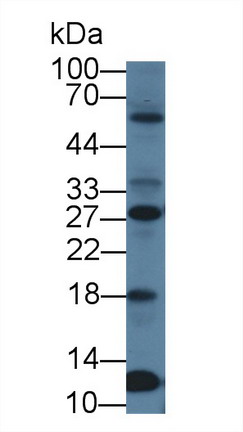 8777