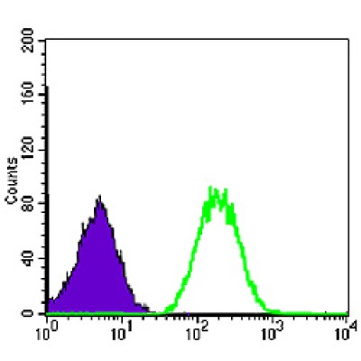 Валидация Affinity BF0686 - 5364