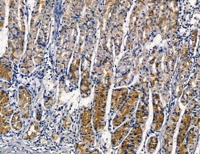 Валидация Affinity DF13787 - 9459