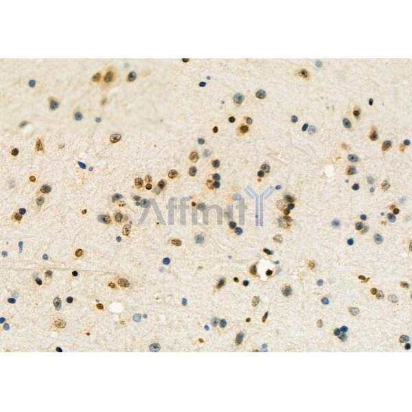 Валидация Affinity DF12542 - 7146