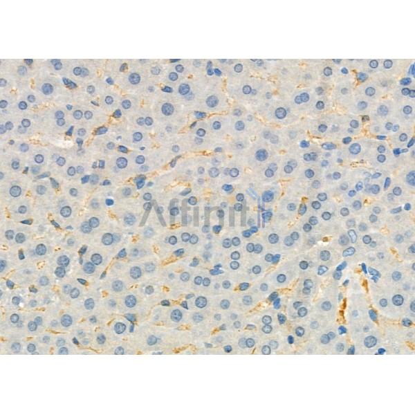 Валидация Affinity DF9936 - 22935