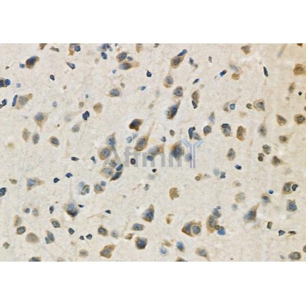 Валидация Affinity DF7468 - 19227