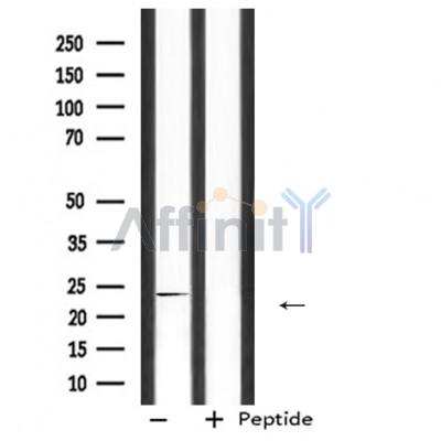 Валидация Affinity DF6791 - 18359