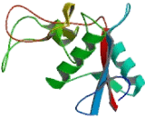 Lymphocyte Antigen 75 (LY75) Lymphocyte Antigen 75 (LY75)