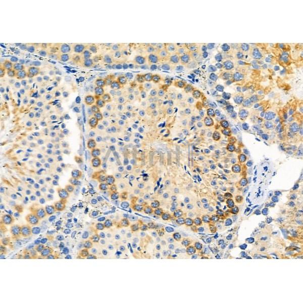 Валидация Affinity DF9744 - 22555