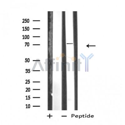 Валидация Affinity DF4782 - 16506