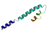 Glutamate Receptor, Ionotropic, N-Methyl-D-Aspartate Like Protein 1B (GRINL1B) Glutamate Receptor, Ionotropic, N-Methyl-D-Aspartate Like Protein 1B (GRINL1B)