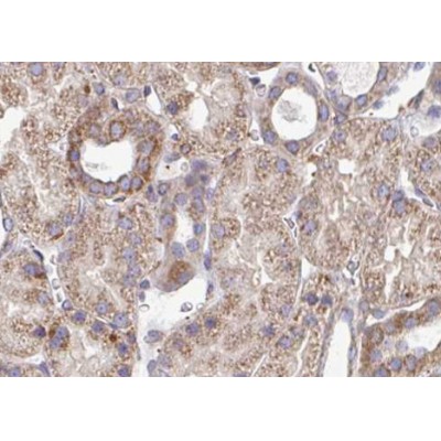 Валидация Affinity DF6328 - 17655