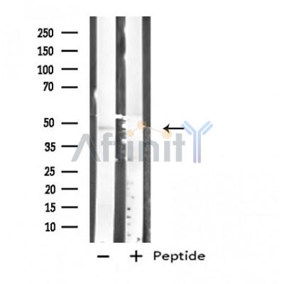 Валидация Affinity DF4829 - 16587