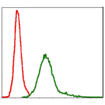 Валидация Affinity BF0652 - 5349