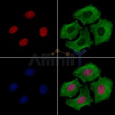 Валидация Affinity DF8872 - 20971