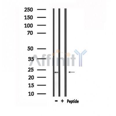 Валидация Affinity DF6087 - 17301