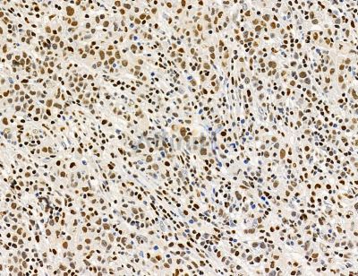 Валидация Affinity DF14776 - 10870