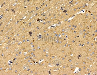 Валидация Affinity DF15015 - 11223