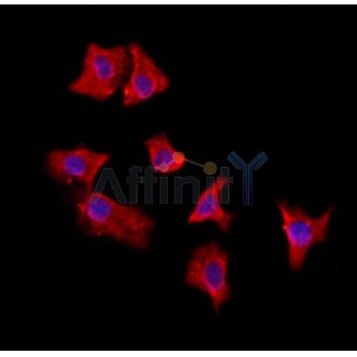 Валидация Affinity DF12043 - 6085