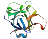 Interleukin 1 Delta (FIL1d) Interleukin 1 Delta (FIL1d)
