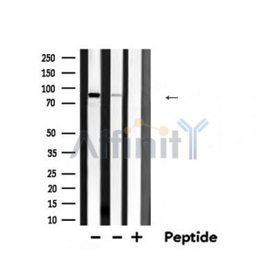 Валидация Affinity DF6154 - 17389