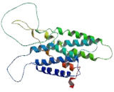 G Protein Coupled Receptor 31 (GPR31) G Protein Coupled Receptor 31 (GPR31)