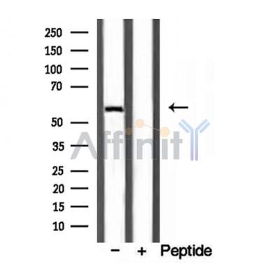 Валидация Affinity DF12195 - 6437