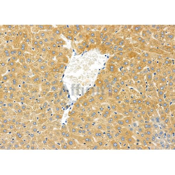 Валидация Affinity DF4758 - 16465