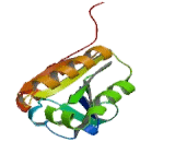 Excision Repair Cross Complementing Rodent Repair Deficiency Complementation 1 (ERCC1) Excision Repair Cross Complementing Rodent Repair Deficiency Complementation 1 (ERCC1)