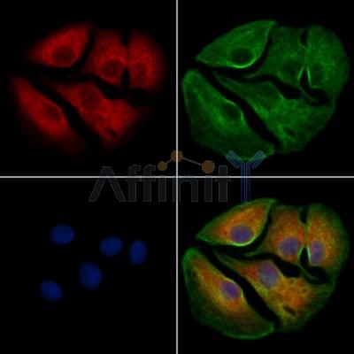 Валидация Affinity AF6442 - 3755