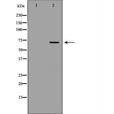 Валидация Affinity DF6971 - 18594