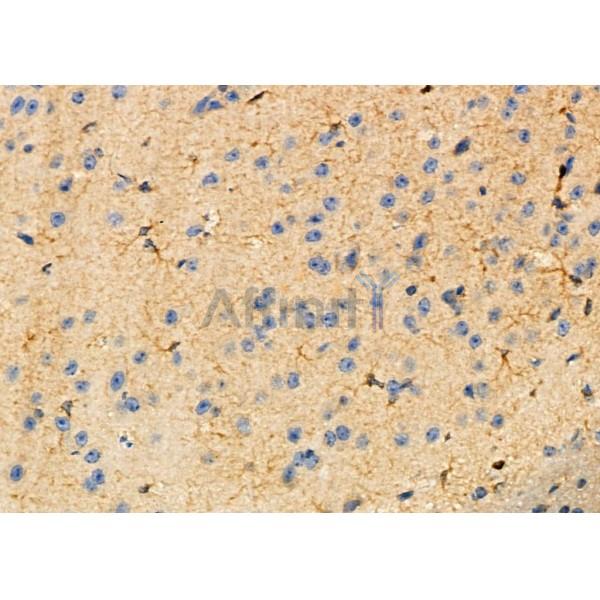 Валидация Affinity DF9374 - 21904