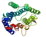 G Protein Coupled Receptor 15 (GPR15) G Protein Coupled Receptor 15 (GPR15)